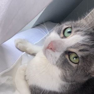 Meet your Posher, Cameron